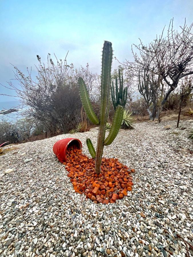 شقة Punta Arrocito B102 Santa María Huatulco المظهر الخارجي الصورة