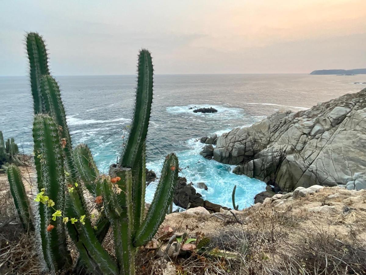 شقة Punta Arrocito B102 Santa María Huatulco المظهر الخارجي الصورة