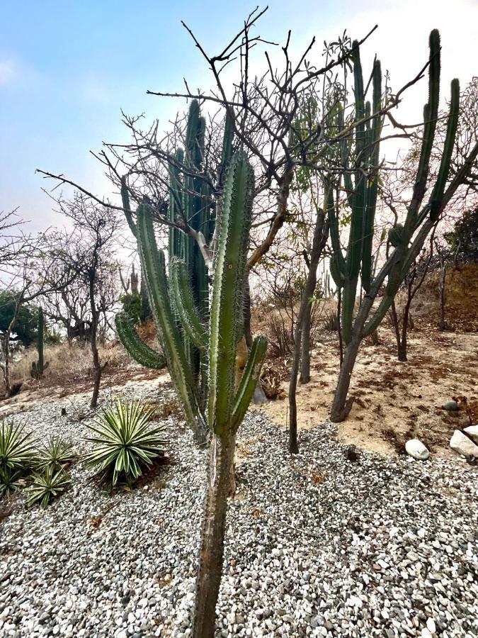 شقة Punta Arrocito B102 Santa María Huatulco المظهر الخارجي الصورة